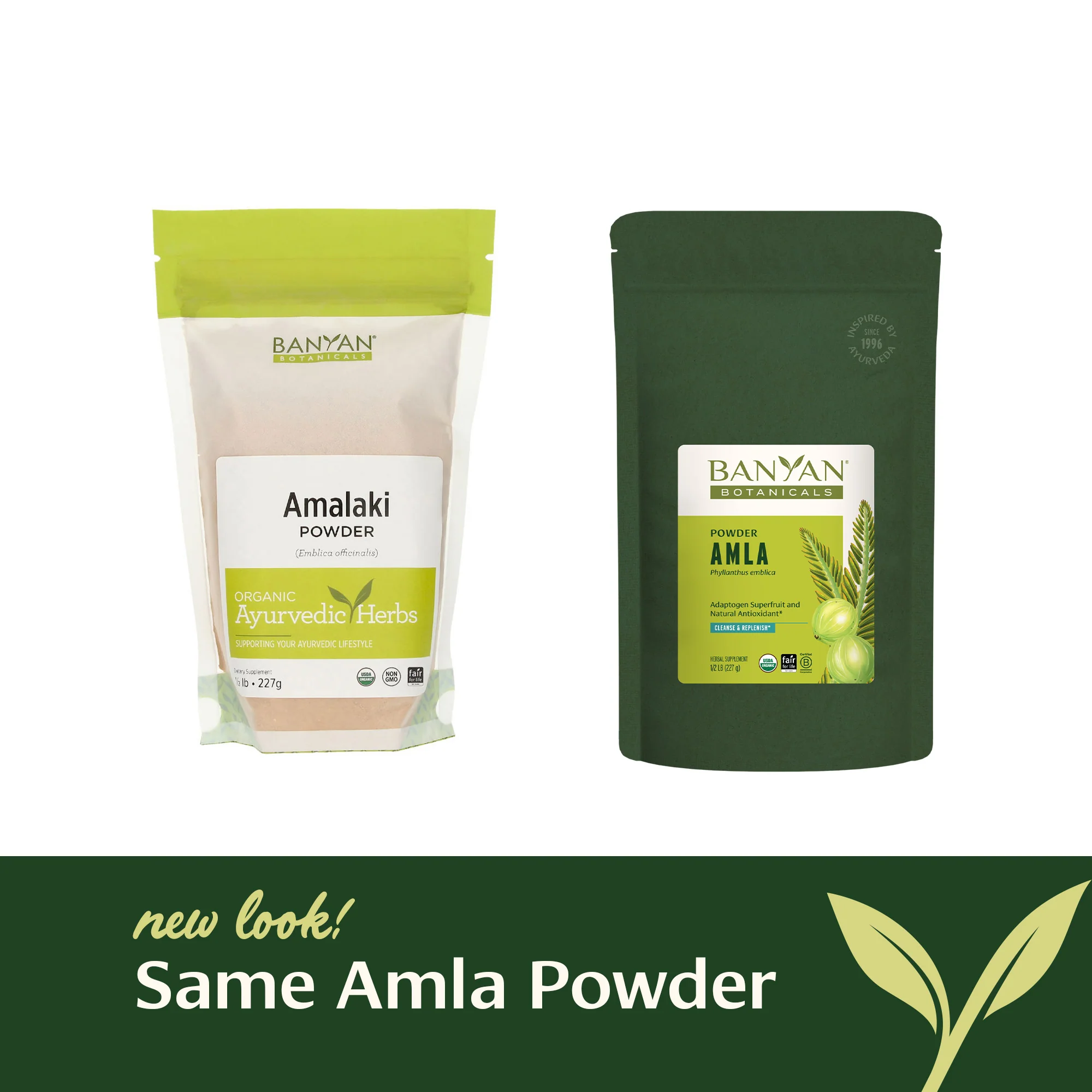 Amla (Amalaki) powder - Image 6