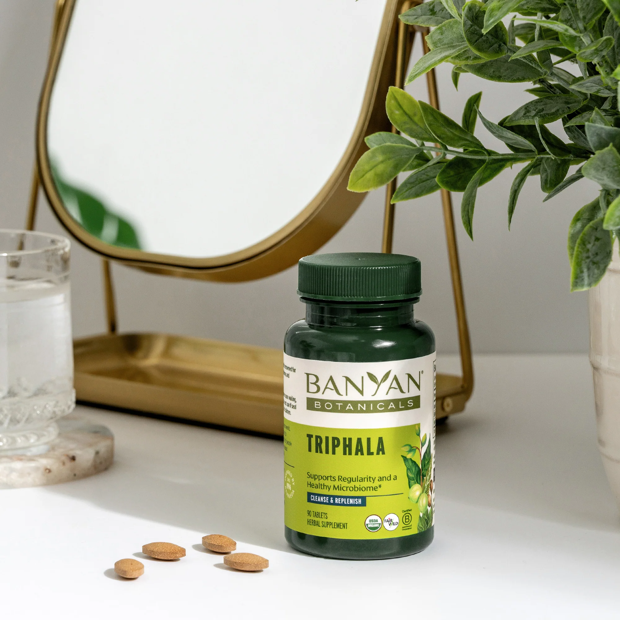 Ayurvedic Travel Essentials Bundle - Image 2