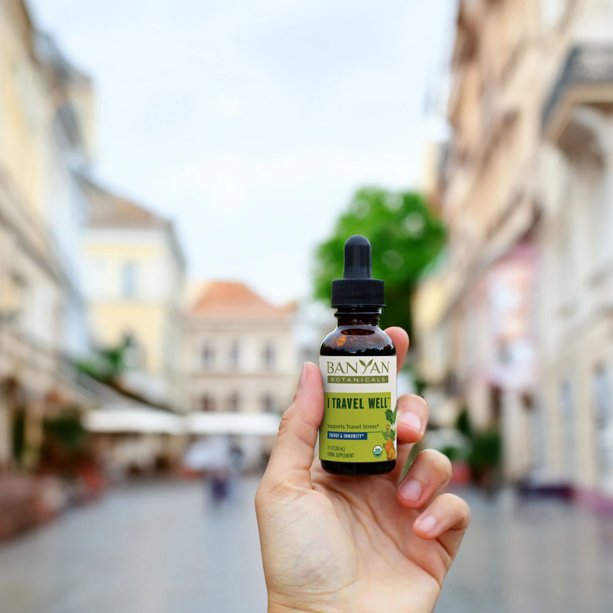 Ayurvedic Travel Essentials Bundle - Image 5