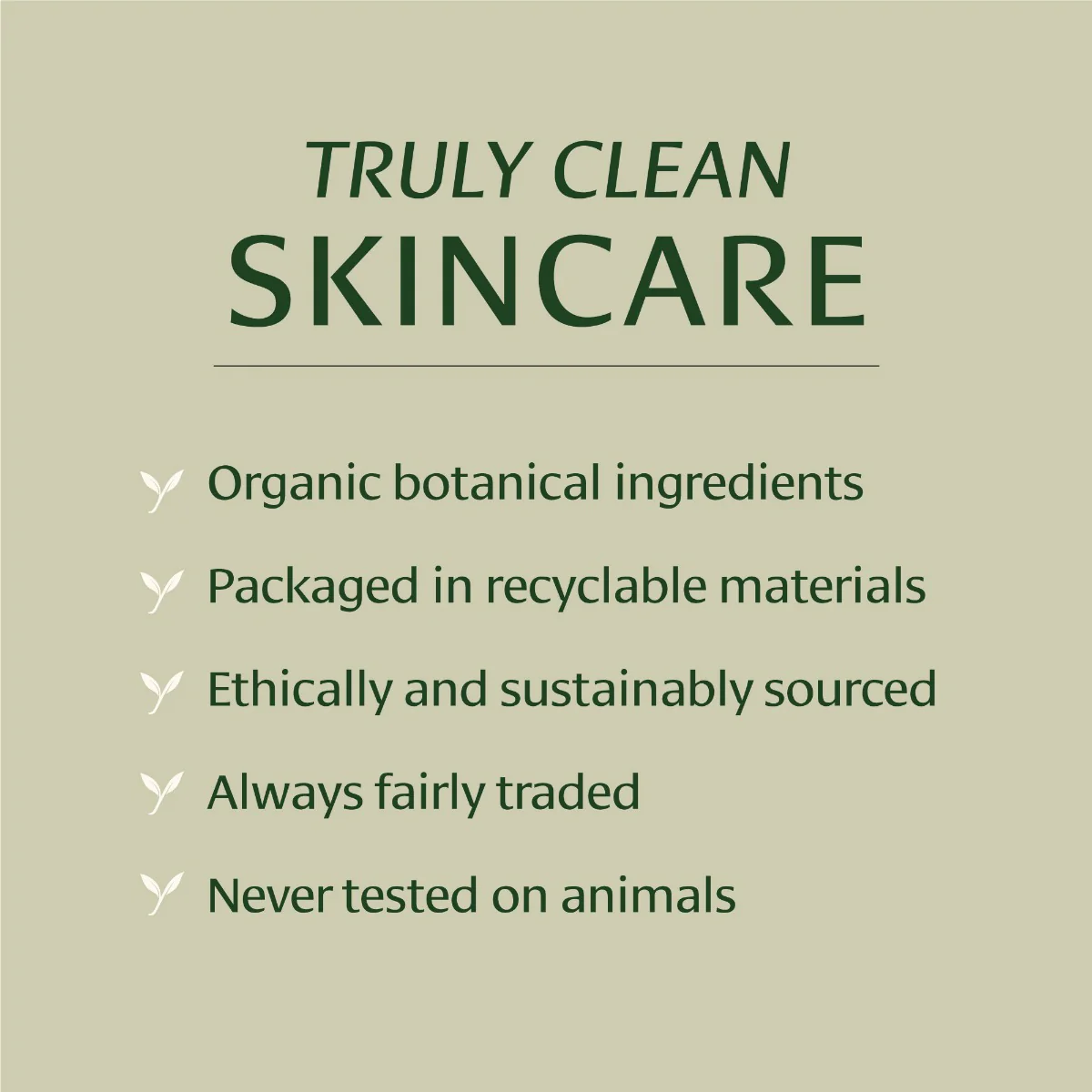 Body Oil - Image 4