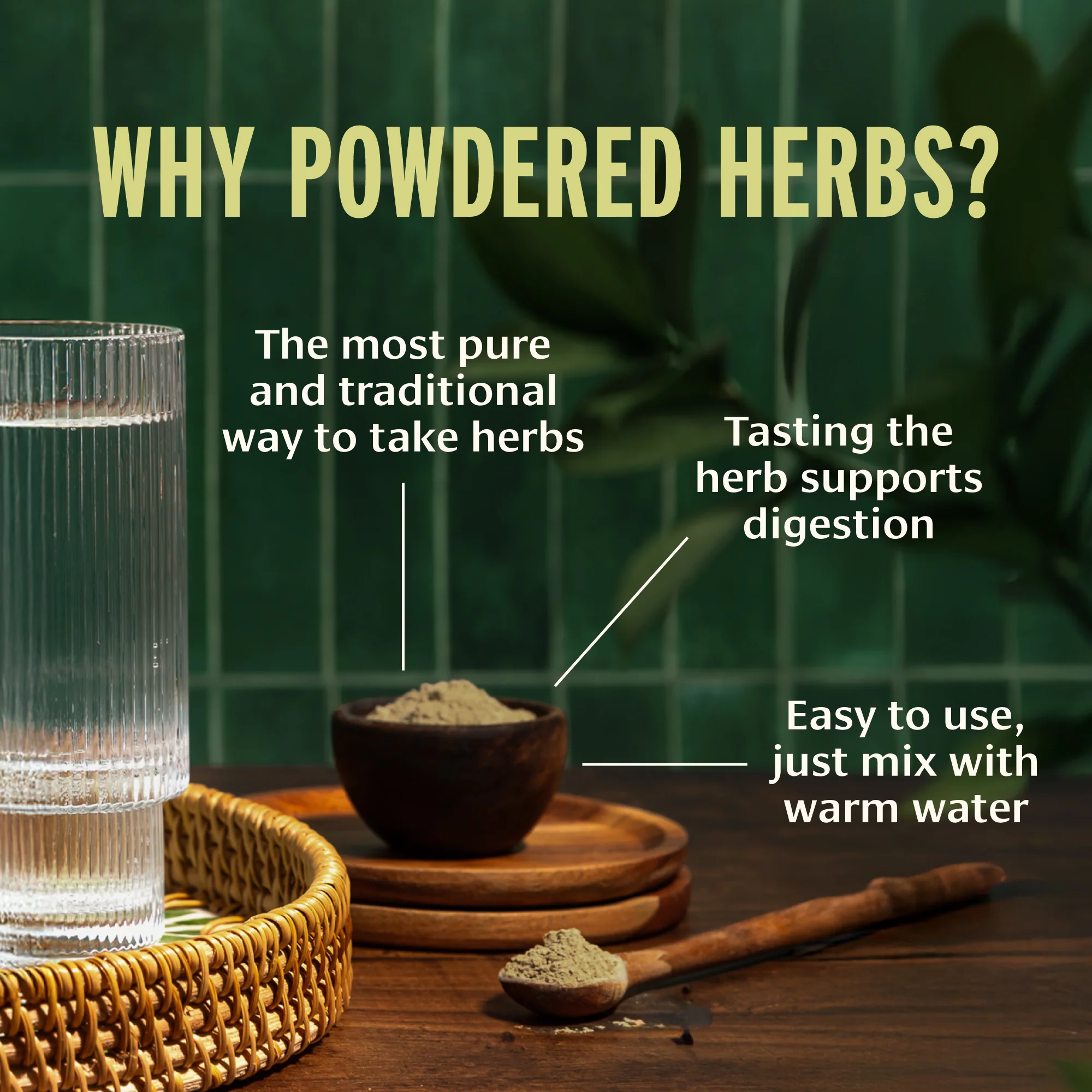 Guduchi powder - Image 6