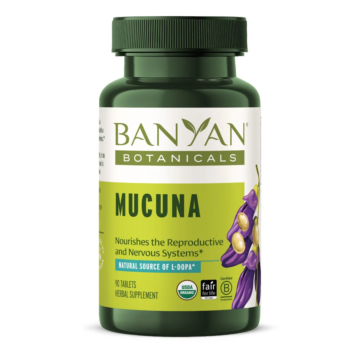 Mucuna (Kapikacchu) tablets