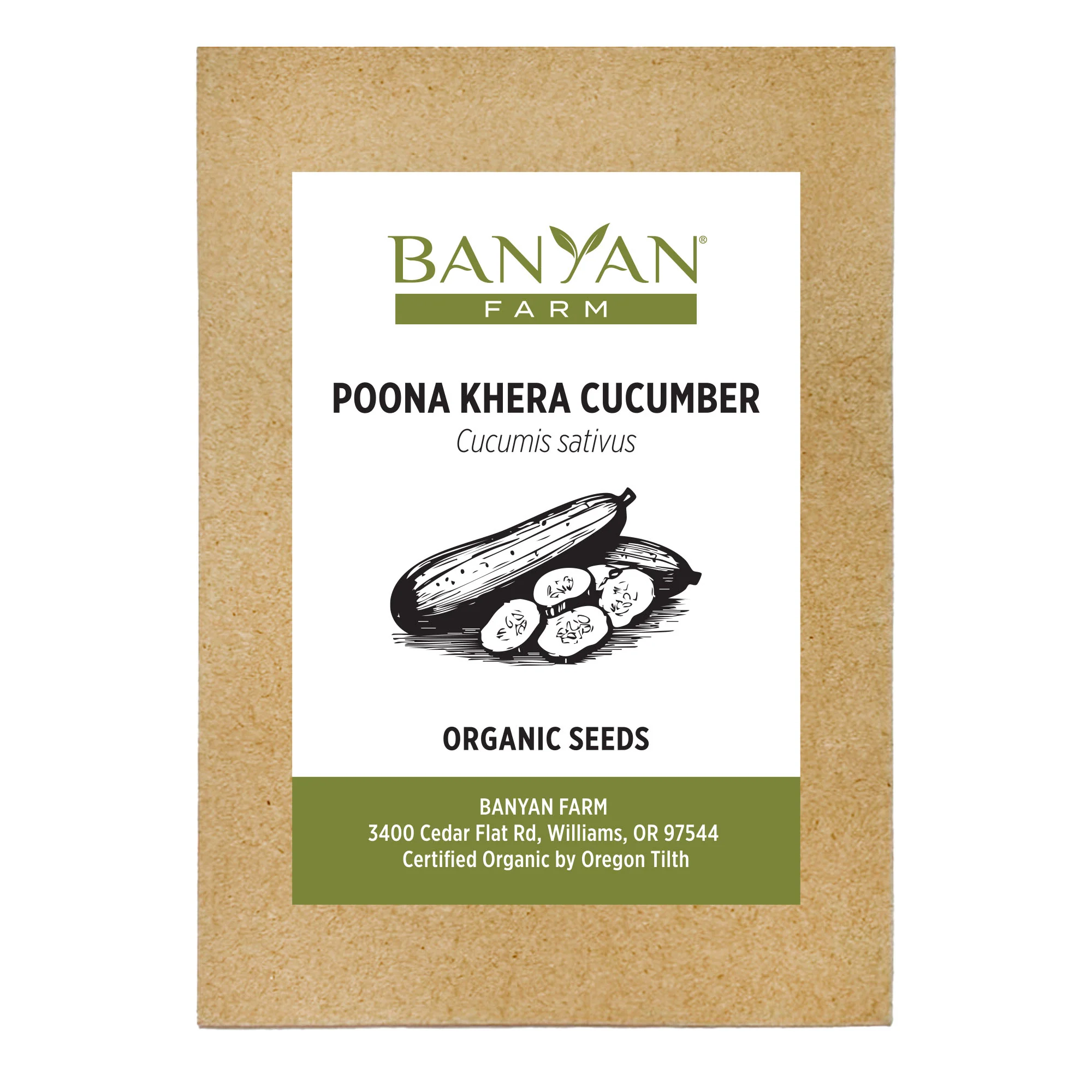 Organic Cucumber Seeds - Image 2