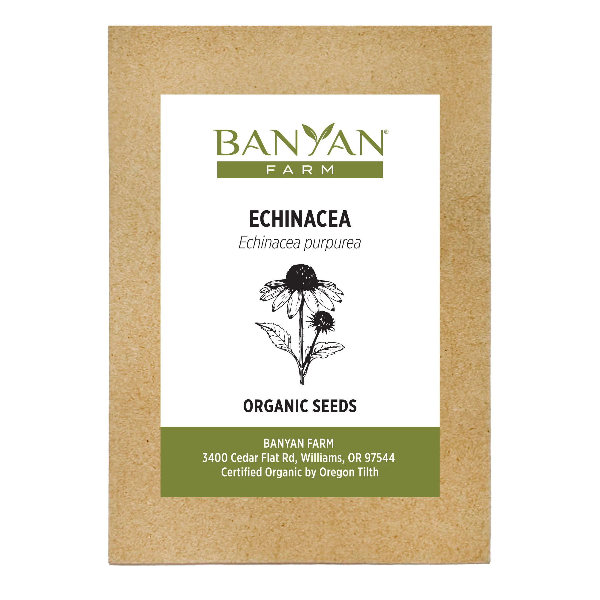 Organic Echinacea Seeds - Image 2