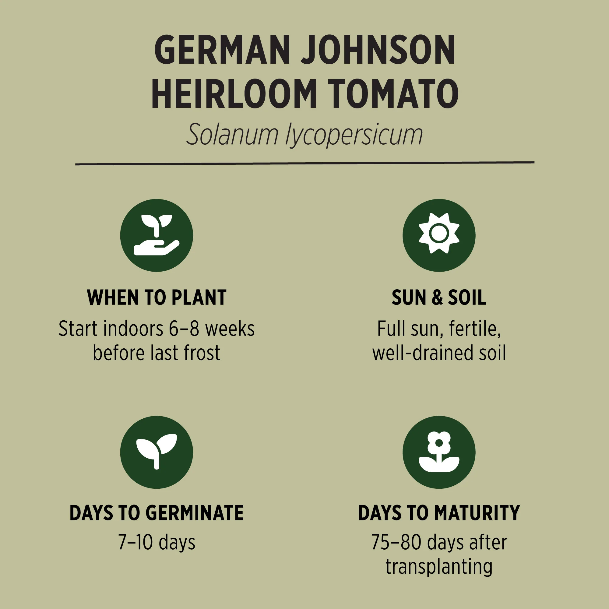 Organic Heirloom Tomato Seeds - Image 4