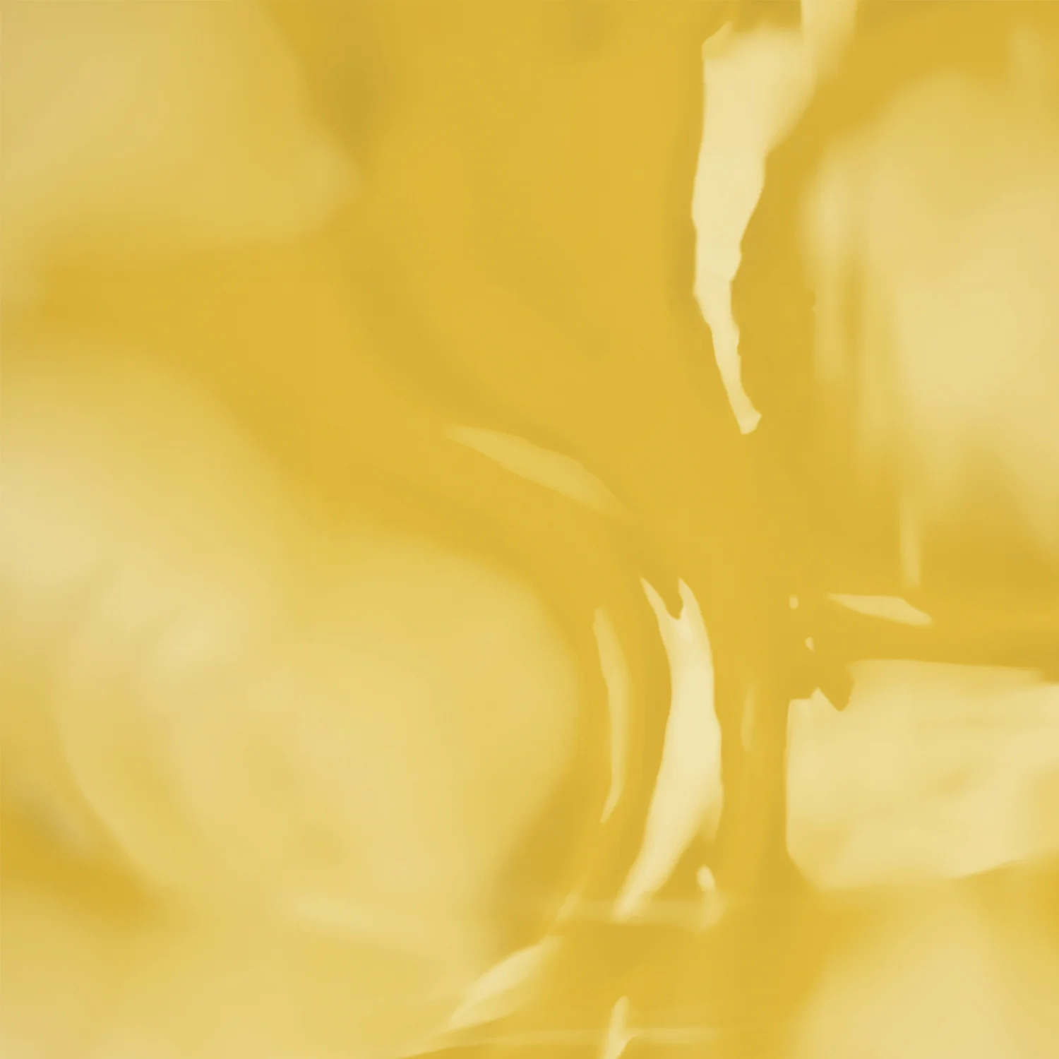 Sunflower Oil - Image 4